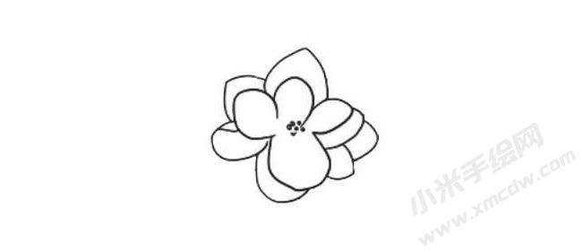 茉莉花簡筆畫法步驟03.jpg