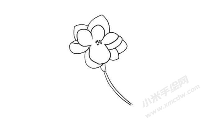茉莉花簡筆畫法步驟04.jpg