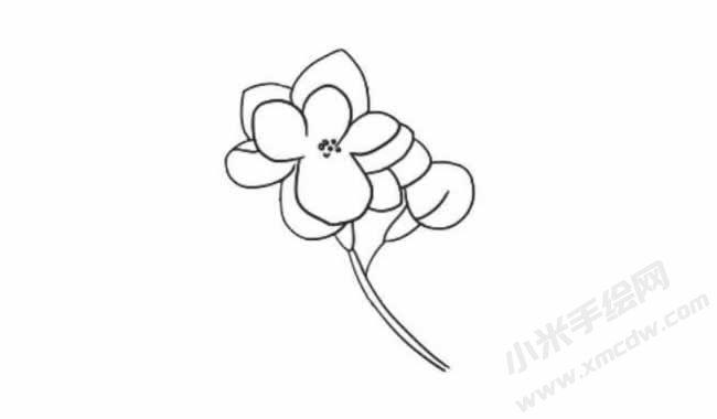 茉莉花簡筆畫法步驟05.jpg