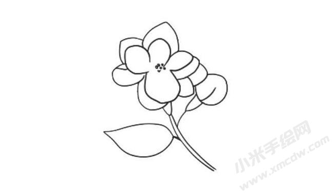 茉莉花簡筆畫法步驟06.jpg