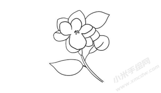 茉莉花簡筆畫法步驟07.jpg