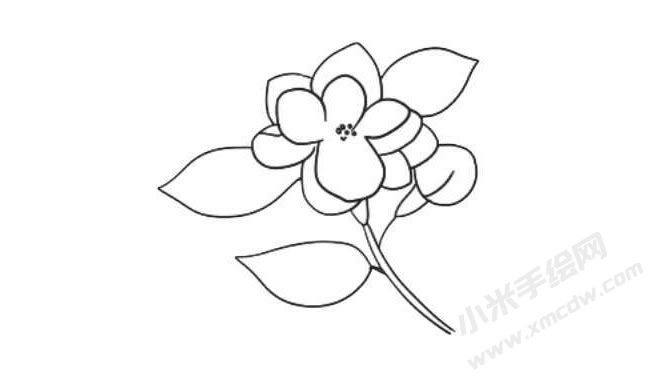 茉莉花簡筆畫法步驟08.jpg