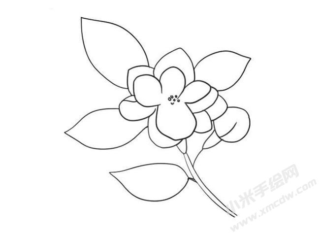 茉莉花簡筆畫法步驟09.jpg