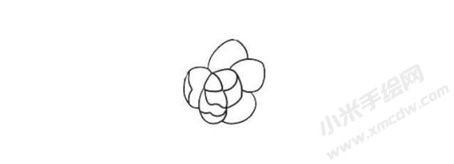 山茶花簡(jiǎn)筆畫法步驟02.jpg