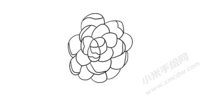 山茶花簡(jiǎn)筆畫法步驟05.jpg