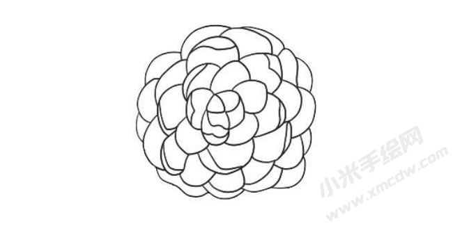 山茶花簡(jiǎn)筆畫法步驟07.jpg