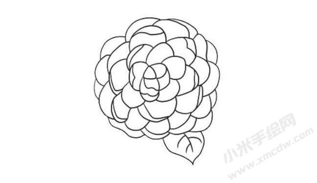 山茶花簡(jiǎn)筆畫法步驟08.jpg