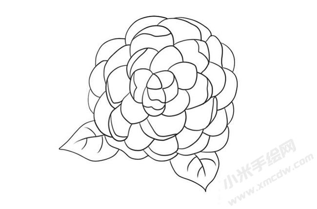 山茶花簡(jiǎn)筆畫法步驟09.jpg
