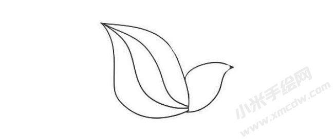 鈴蘭簡(jiǎn)筆畫法步驟03.jpg
