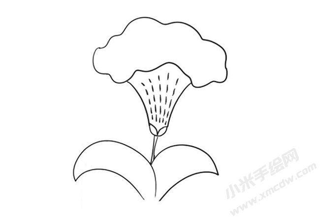 雞冠花簡筆畫法步驟09.jpg