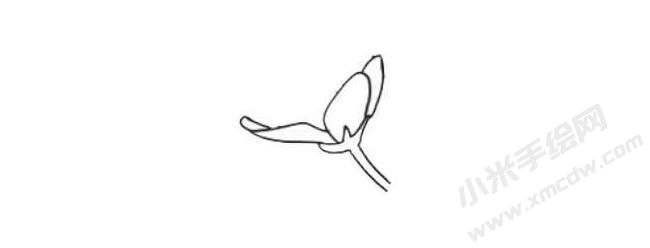 銀蓮花簡(jiǎn)筆畫法步驟01.jpg