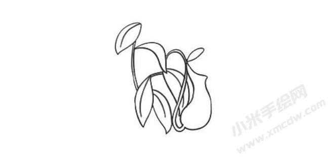 豬籠草簡(jiǎn)筆畫(huà)法步驟04.jpg