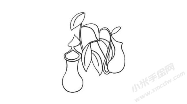 豬籠草簡(jiǎn)筆畫(huà)法步驟05.jpg