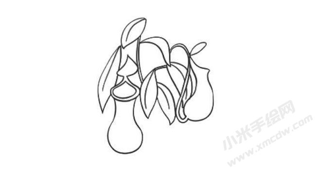 豬籠草簡(jiǎn)筆畫(huà)法步驟06.jpg