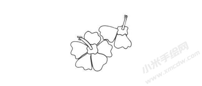 木槿花簡筆畫法步驟03.jpg