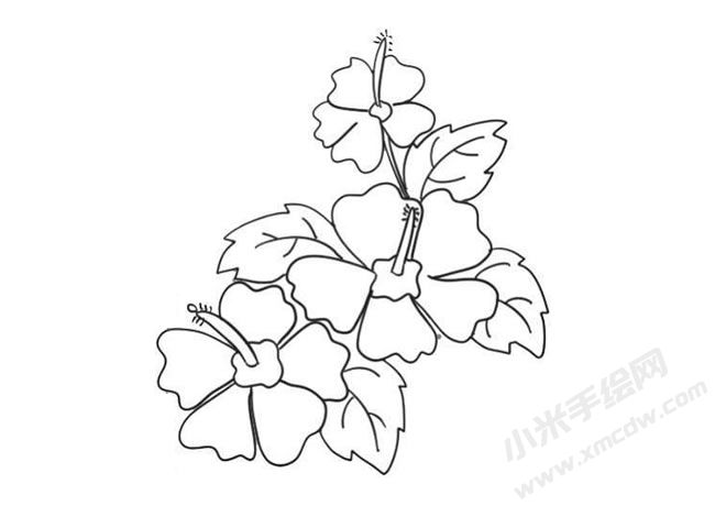 木槿花簡筆畫法步驟09.jpg