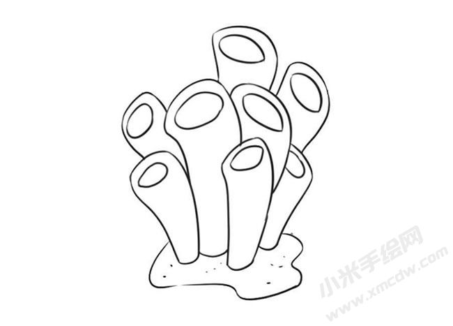 海底植物簡筆畫法步驟09.jpg