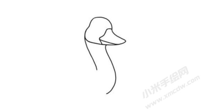 鴨子簡(jiǎn)筆畫(huà)分步繪制圖示02.jpg