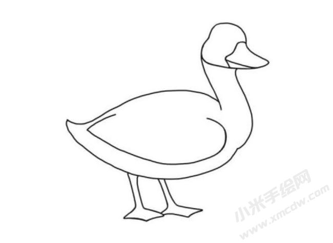 鴨子簡(jiǎn)筆畫(huà)分步繪制圖示05.jpg