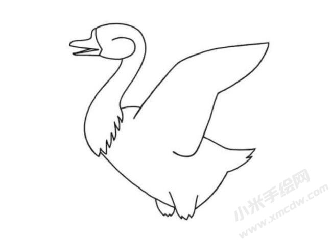 鵝的簡(jiǎn)筆畫(huà)繪制步驟圖示04.jpg