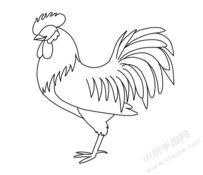 公雞簡(jiǎn)筆畫分步繪制圖示05.jpg