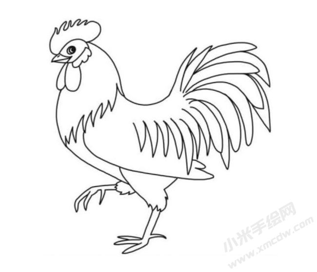公雞簡(jiǎn)筆畫分步繪制圖示06.jpg