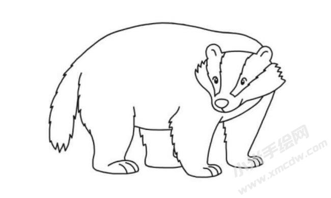 獾的簡(jiǎn)筆畫(huà)分步繪制圖示06.jpg