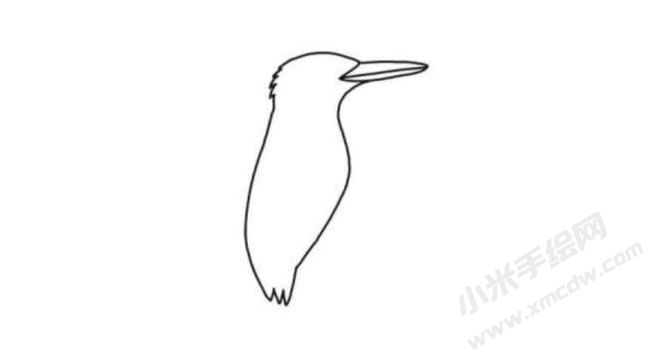 翠鳥簡(jiǎn)筆畫分步繪制圖示02.jpg