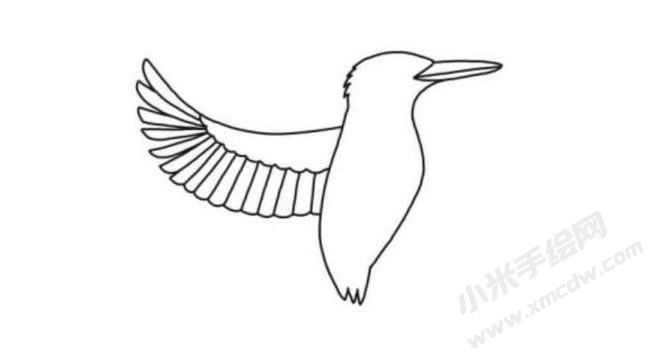 翠鳥簡(jiǎn)筆畫分步繪制圖示03.jpg