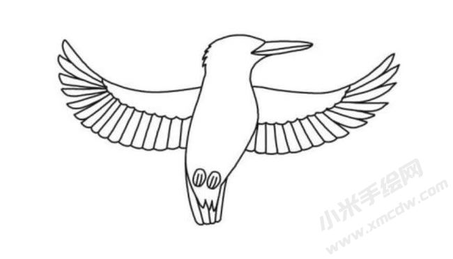 翠鳥簡(jiǎn)筆畫分步繪制圖示05.jpg