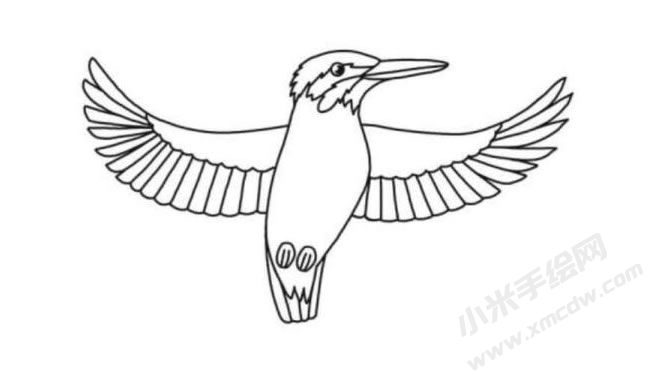 翠鳥簡(jiǎn)筆畫分步繪制圖示06.jpg
