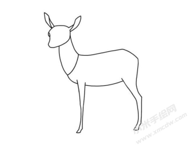 羚羊簡(jiǎn)筆畫分步繪制圖示04.jpg