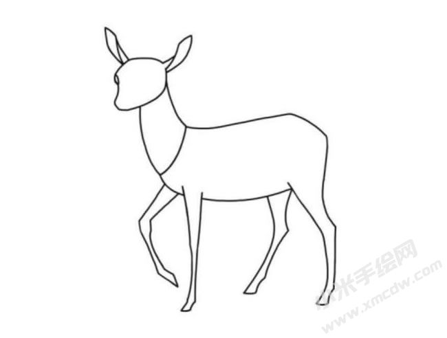 羚羊簡(jiǎn)筆畫分步繪制圖示05.jpg