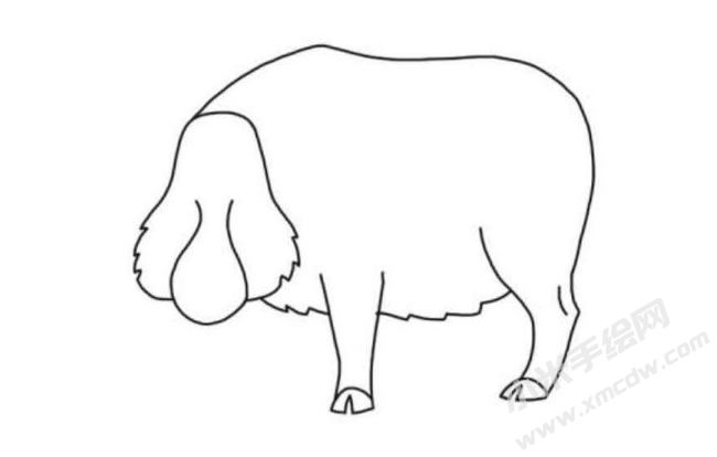 野豬簡(jiǎn)筆畫(huà)分步繪制圖示03.jpg