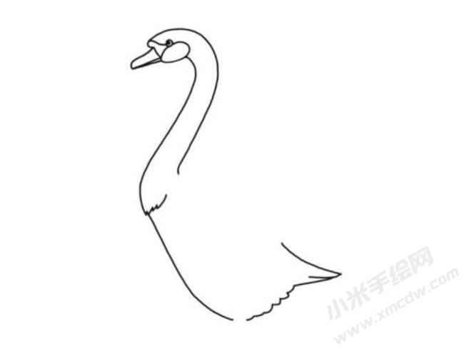 天鵝簡(jiǎn)筆畫分步繪制圖示03.jpg