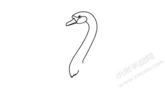 天鵝簡(jiǎn)筆畫分步繪制圖示02.jpg