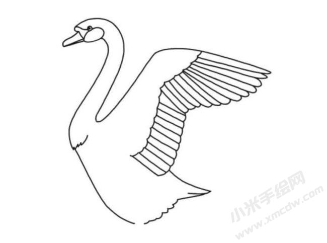 天鵝簡(jiǎn)筆畫分步繪制圖示04.jpg