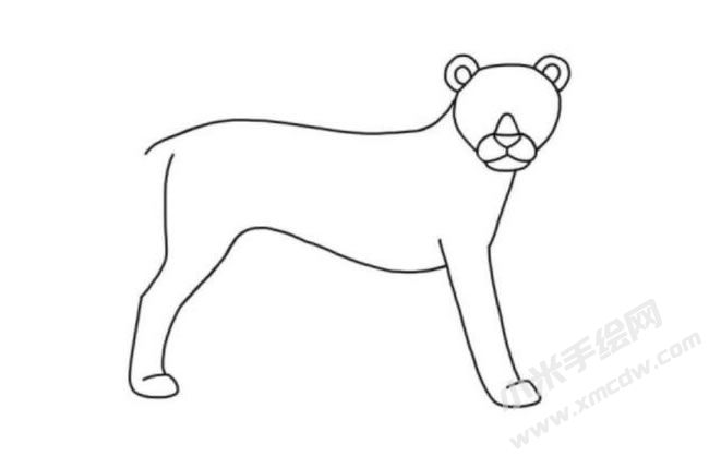 獵豹簡筆畫分步繪制圖示04.jpg