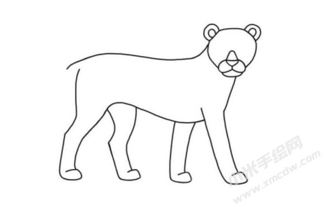 獵豹簡筆畫分步繪制圖示05.jpg