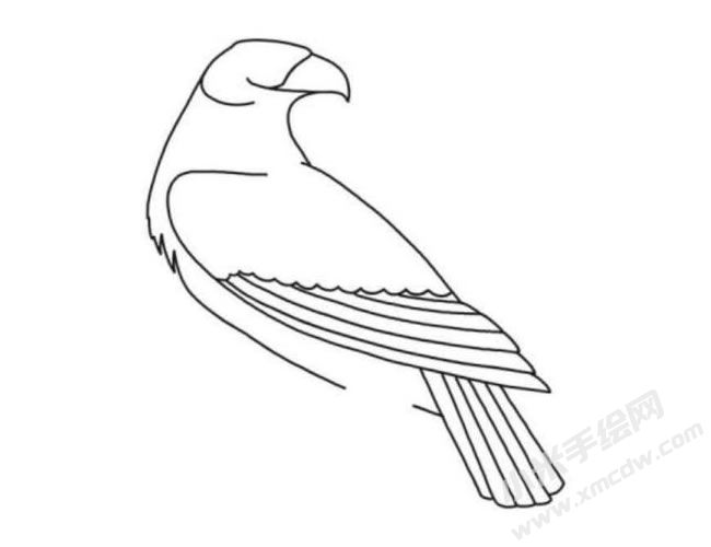 鷹的簡(jiǎn)筆畫(huà)分步繪制圖示04.jpg