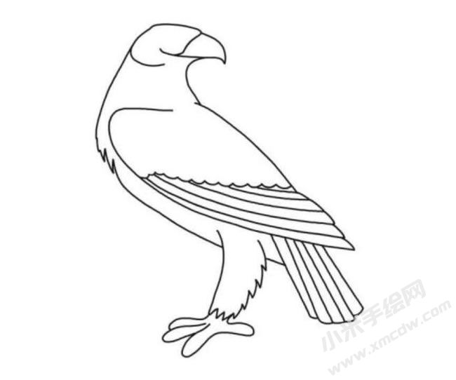 鷹的簡(jiǎn)筆畫(huà)分步繪制圖示05.jpg