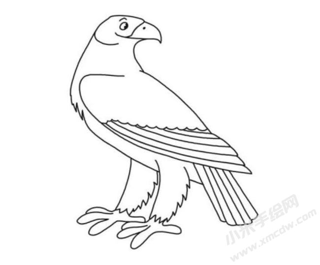 鷹的簡(jiǎn)筆畫(huà)分步繪制圖示06.jpg