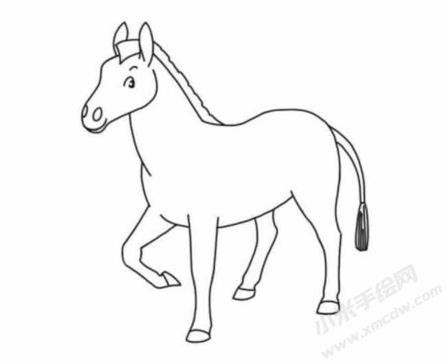 斑馬簡(jiǎn)筆畫(huà)分步繪制圖示05.jpg