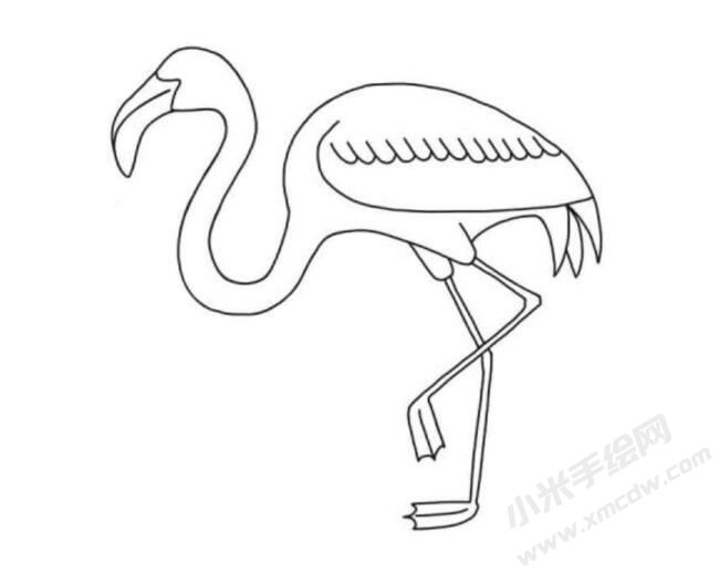 火烈鳥簡(jiǎn)筆畫分步繪制圖示05.jpg