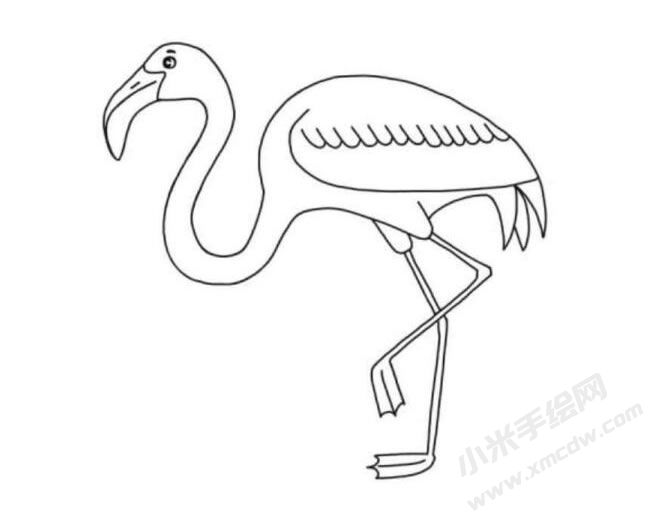 火烈鳥簡(jiǎn)筆畫分步繪制圖示06.jpg