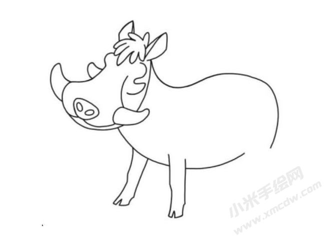 疣豬簡筆畫分步繪制圖示04.jpg