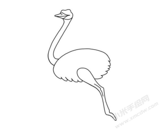 鴕鳥(niǎo)簡(jiǎn)筆畫(huà)分步繪制圖示04.jpg
