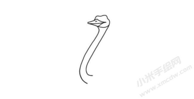 鴕鳥(niǎo)簡(jiǎn)筆畫(huà)分步繪制圖示02.jpg