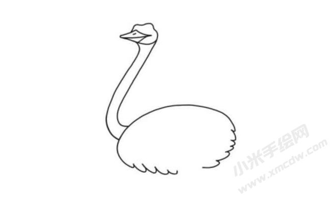 鴕鳥(niǎo)簡(jiǎn)筆畫(huà)分步繪制圖示03.jpg