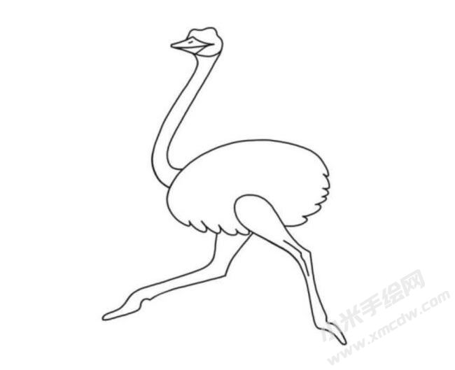 鴕鳥(niǎo)簡(jiǎn)筆畫(huà)分步繪制圖示05.jpg